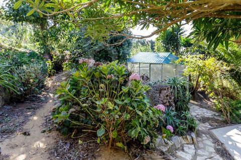 Villa a Ericeira, Lisbon, Ericeira - € 1.400.000 | Ref: V25302 - foto 40
