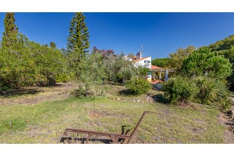 Farm i Mafra, Lisbon, Mafra - € 1.190.000 | Ref: V22032.1 - foto 34