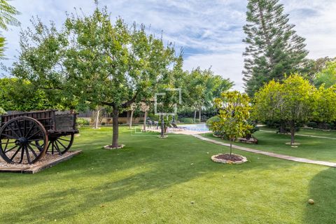 Villa i Elche, Alicante, Elche - € 1.000.000 | Ref: ALI37727 - foto 33
