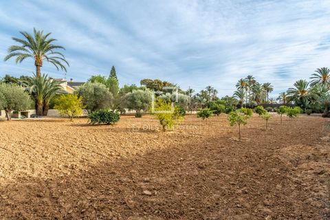 Villa i Elche, Alicante, Elche - € 1.000.000 | Ref: ALI37727 - foto 48