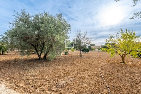 Villa i Elche, Alicante, Elche - € 1.000.000 | Ref: ALI37727 - foto 49