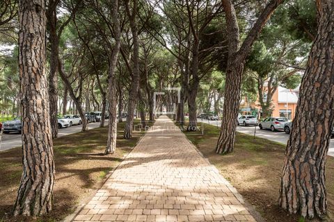 Villa i Alcobendas, Madrid, Alcobendas - € 4.100.000 | Ref: MAD71710 - foto 15