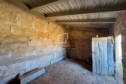 Helårsgrund i Sa Rapita, Mallorca - foto 1