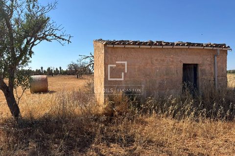 Helårsgrund i Sa Rapita, Mallorca - foto 2