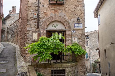 Villa a Amelia, Terni, Amelia - € 1.250.000 | Ref: VL127 - foto 3