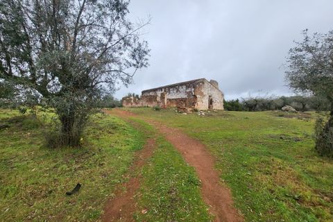 Terra em Borba, Evora, Borba - € 95.000 | Ref: JG1921 - foto 1