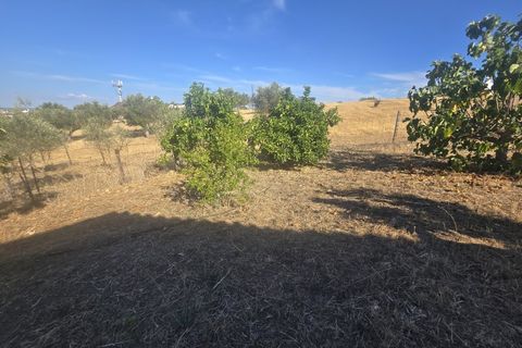 Helårsgrund i Alandroal, Evora, Alandroal - € 79.500 | Ref: JG2485 - foto 5