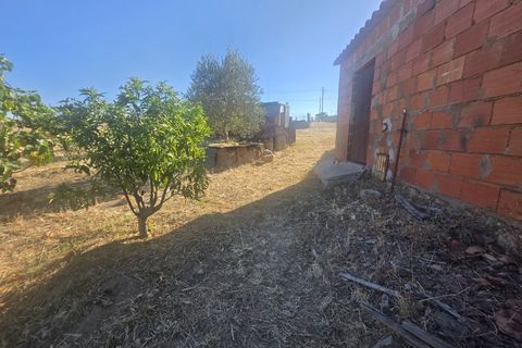 Helårsgrund i Alandroal, Evora, Alandroal - € 79.500 | Ref: JG2485 - foto 8