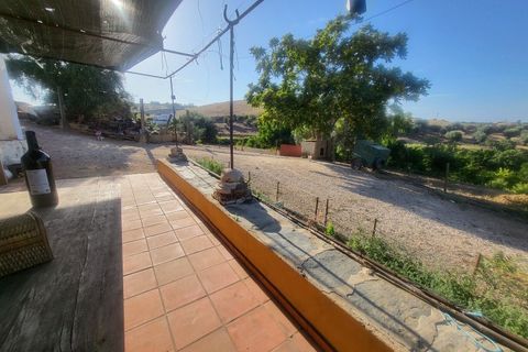 Gård i Vila Vicosa, Evora, Vila Vicosa - € 525 000 | Ref: JG2158 - foto 4