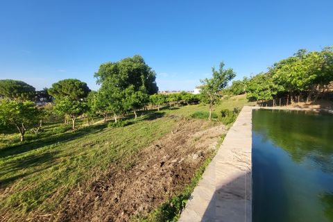 Gård i Vila Vicosa, Evora, Vila Vicosa - € 525 000 | Ref: JG2158 - foto 9