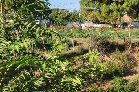 Gård i Vila Vicosa, Evora, Vila Vicosa - € 525 000 | Ref: JG2158 - foto 12