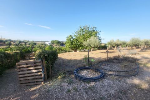 Gård i Vila Vicosa, Evora, Vila Vicosa - € 525 000 | Ref: JG2158 - foto 26