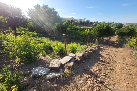 Gård i Vila Vicosa, Evora, Vila Vicosa - € 525 000 | Ref: JG2158 - foto 29