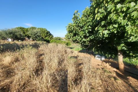 Gård i Vila Vicosa, Evora, Vila Vicosa - € 525 000 | Ref: JG2158 - foto 30