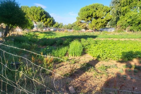Gård i Vila Vicosa, Evora, Vila Vicosa - € 525 000 | Ref: JG2158 - foto 31