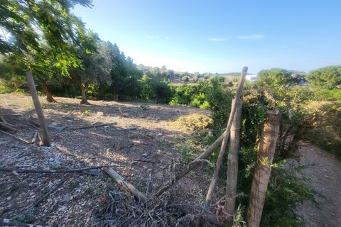 Gård i Vila Vicosa, Evora, Vila Vicosa - € 525 000 | Ref: JG2158 - foto 32