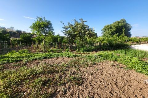 Gård i Vila Vicosa, Evora, Vila Vicosa - € 525 000 | Ref: JG2158 - foto 33