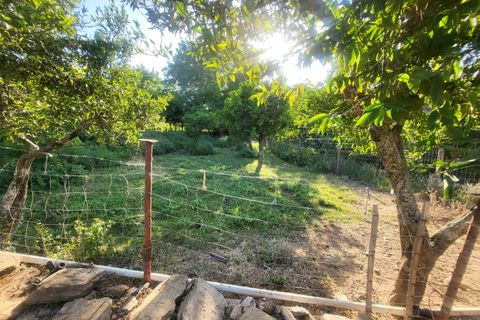 Gård i Vila Vicosa, Evora, Vila Vicosa - € 525 000 | Ref: JG2158 - foto 35