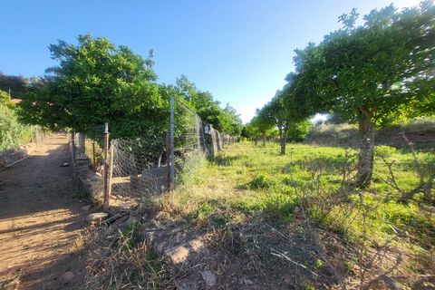 Gård i Vila Vicosa, Evora, Vila Vicosa - € 525 000 | Ref: JG2158 - foto 39