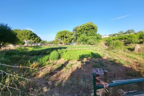 Gård i Vila Vicosa, Evora, Vila Vicosa - € 525 000 | Ref: JG2158 - foto 40