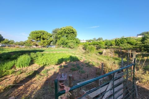 Gård i Vila Vicosa, Evora, Vila Vicosa - € 525 000 | Ref: JG2158 - foto 41