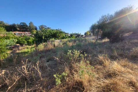 Gård i Vila Vicosa, Evora, Vila Vicosa - € 525 000 | Ref: JG2158 - foto 43