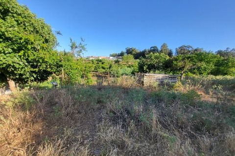 Gård i Vila Vicosa, Evora, Vila Vicosa - € 525 000 | Ref: JG2158 - foto 44