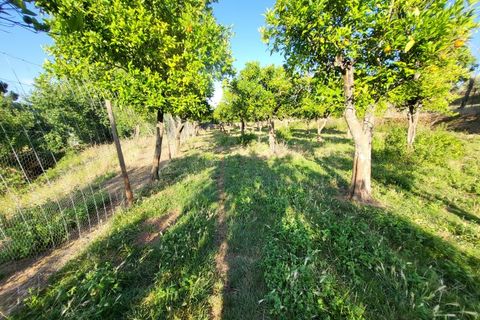 Gård i Vila Vicosa, Evora, Vila Vicosa - € 525 000 | Ref: JG2158 - foto 45