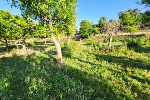 Gård i Vila Vicosa, Evora, Vila Vicosa - € 525 000 | Ref: JG2158 - foto 46