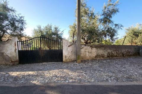 Gård i Vila Vicosa, Evora, Vila Vicosa - € 525 000 | Ref: JG2158 - foto 48