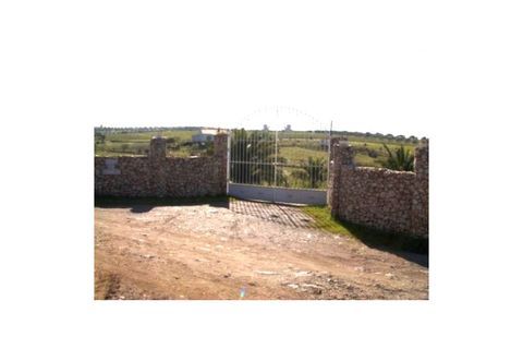 Farm i Amareleja, Beja, Amareleja - € 400.000 | Ref: JG2449 - foto 2