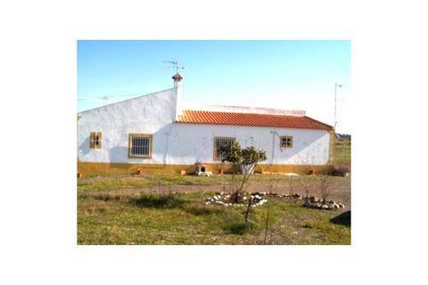 Farm i Amareleja, Beja, Amareleja - € 400.000 | Ref: JG2449 - foto 4