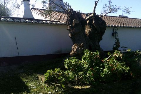 Villa i Alandroal, Evora, Alandroal - € 250.000 | Ref: JG1130 - foto 8