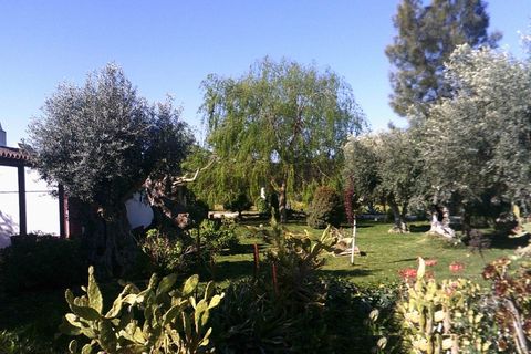 Villa i Alandroal, Evora, Alandroal - € 250.000 | Ref: JG1130 - foto 16