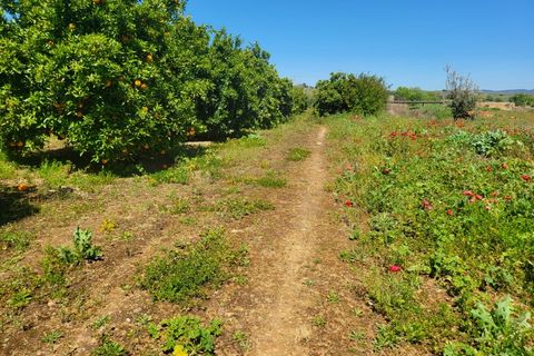 Villa a Vidigueira, Beja, Vidigueira - € 240.000 | Ref: JG1951 - foto 24
