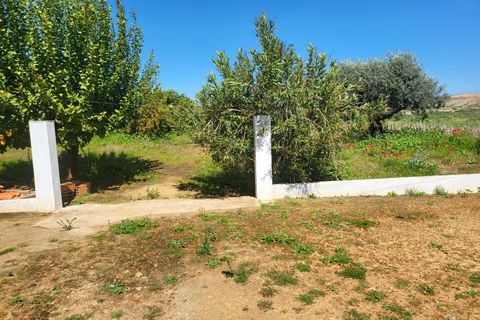 Villa a Vidigueira, Beja, Vidigueira - € 240.000 | Ref: JG1951 - foto 26
