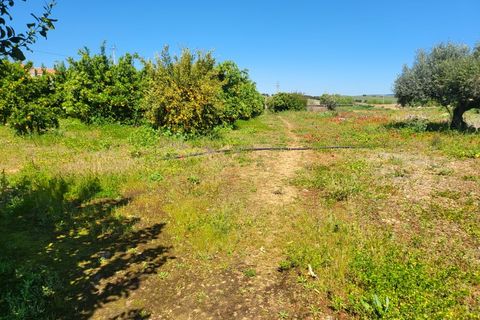 Villa a Vidigueira, Beja, Vidigueira - € 240.000 | Ref: JG1951 - foto 27