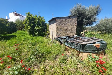Villa a Vidigueira, Beja, Vidigueira - € 240.000 | Ref: JG1951 - foto 29