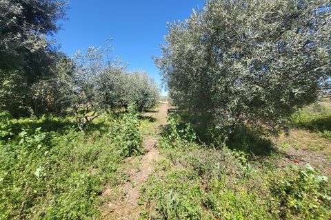 Villa a Vidigueira, Beja, Vidigueira - € 240.000 | Ref: JG1951 - foto 30