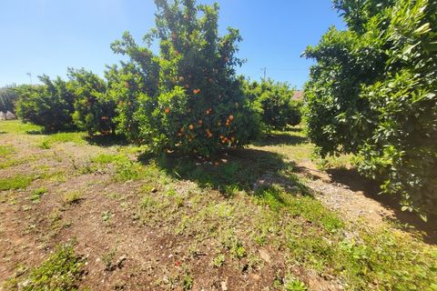 Villa a Vidigueira, Beja, Vidigueira - € 240.000 | Ref: JG1951 - foto 31
