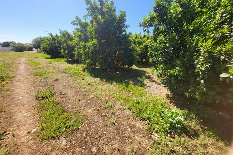 Villa a Vidigueira, Beja, Vidigueira - € 240.000 | Ref: JG1951 - foto 32
