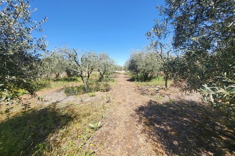 Villa a Vidigueira, Beja, Vidigueira - € 240.000 | Ref: JG1951 - foto 34