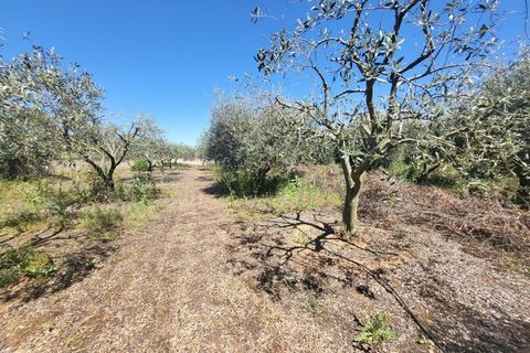 Villa a Vidigueira, Beja, Vidigueira - € 240.000 | Ref: JG1951 - foto 35