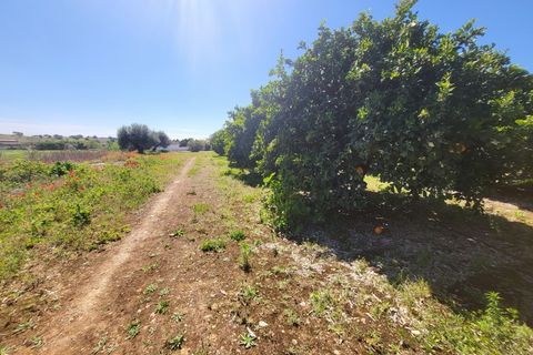 Villa a Vidigueira, Beja, Vidigueira - € 240.000 | Ref: JG1951 - foto 36