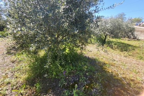 Villa a Vidigueira, Beja, Vidigueira - € 240.000 | Ref: JG1951 - foto 37