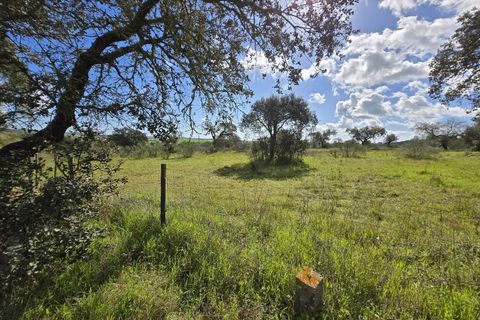 Tomt i Alandroal, Evora, Alandroal - € 45 000 | Ref: JG2386 - foto 2
