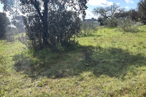 Tomt i Alandroal, Evora, Alandroal - € 45 000 | Ref: JG2386 - foto 3