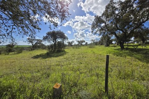 Tomt i Alandroal, Evora, Alandroal - € 45 000 | Ref: JG2386 - foto 4