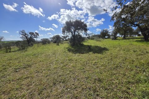 Tomt i Alandroal, Evora, Alandroal - € 45 000 | Ref: JG2386 - foto 8