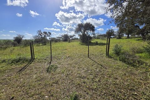 Tomt i Alandroal, Evora, Alandroal - € 45 000 | Ref: JG2386 - foto 15